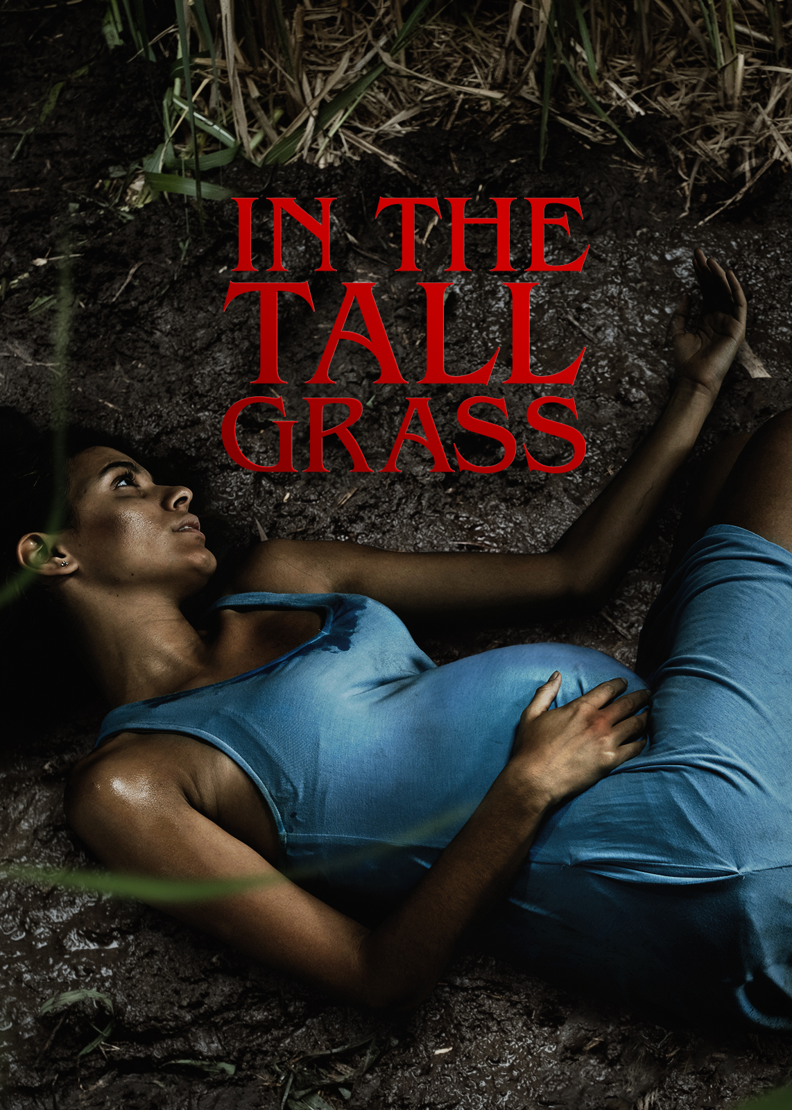 InTheTallGrass_A